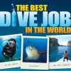 Best Dive Job in The World