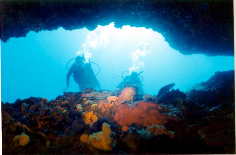 Cave and divers