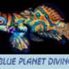 Blue Planet Diving