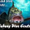 Subway Scuba Diving School