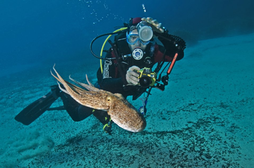 Dive in Serifos island Greece