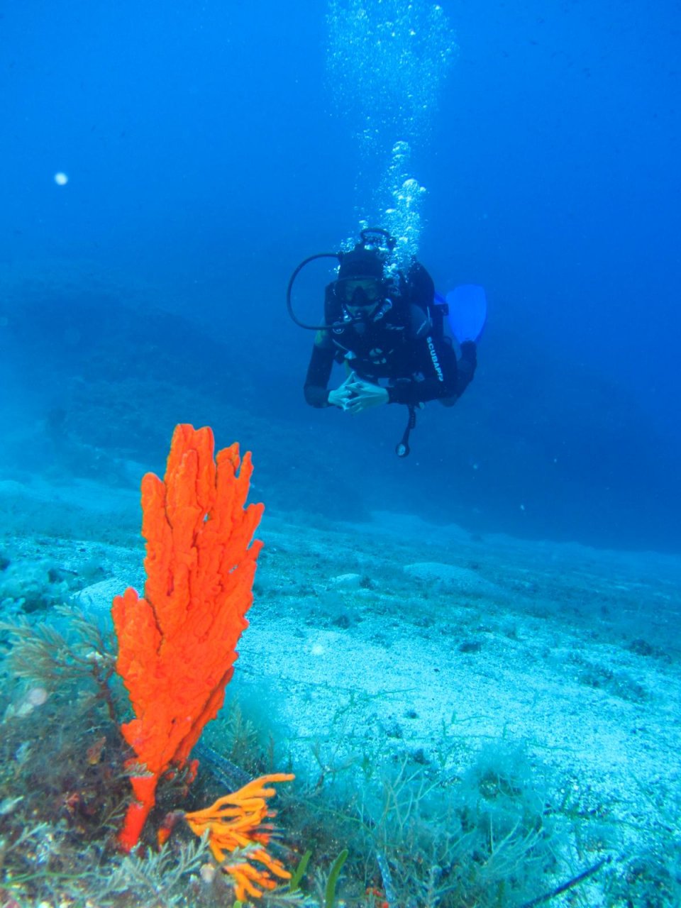 Kalafakiona Reef