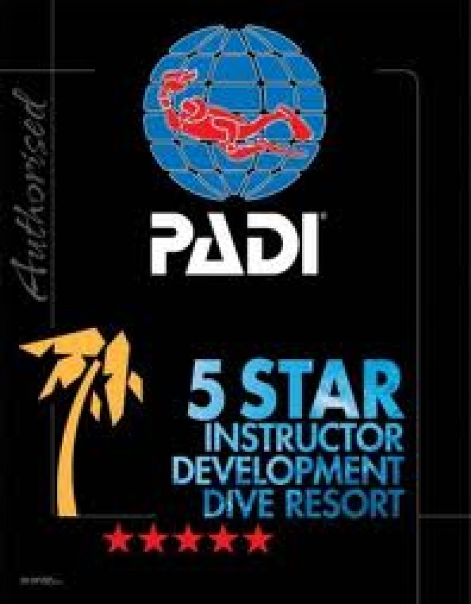 5 star instructor development dive resort