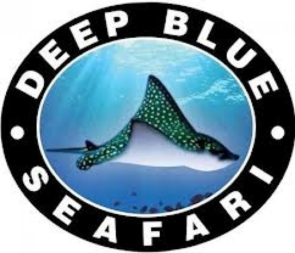 Deep Blue Seafari Logo
