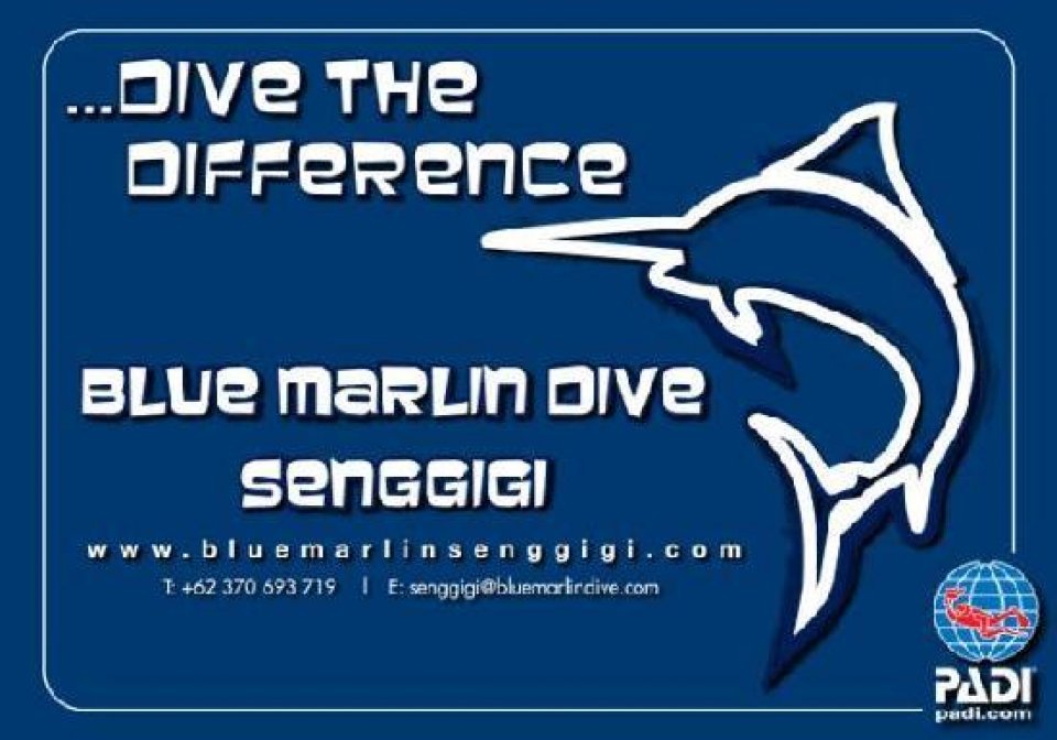 Blue Marlin Senggigi