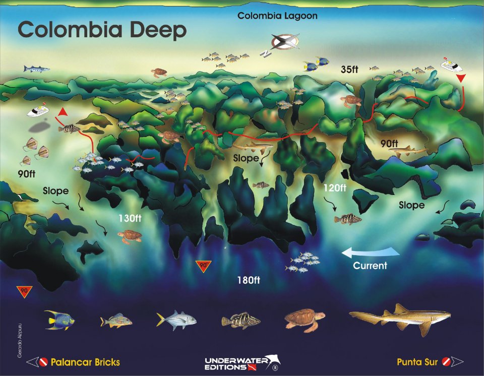 Reef Map