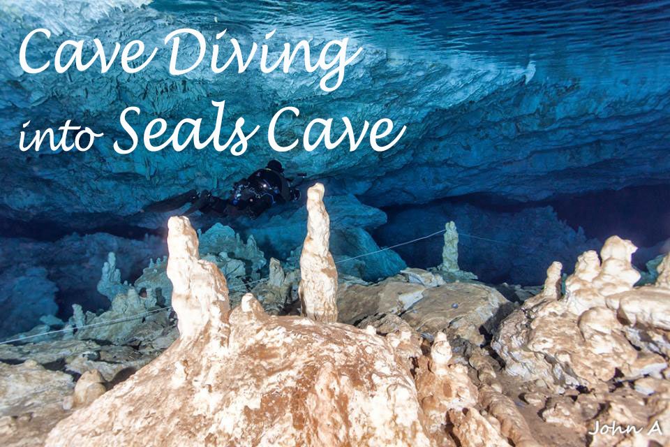 Seals Cave