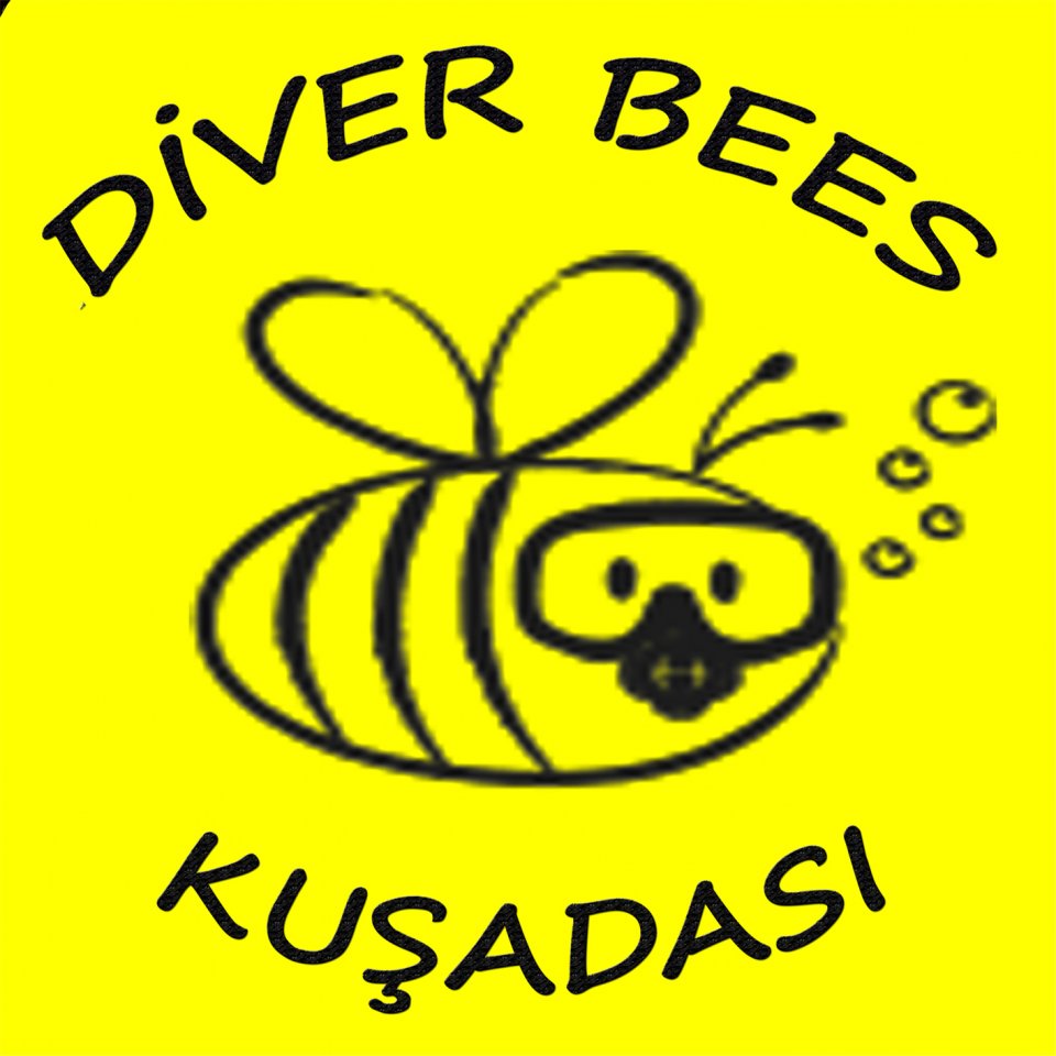 Diver Bees Logo