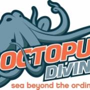 Octopus Diving