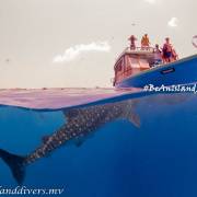 Island Divers Maldives