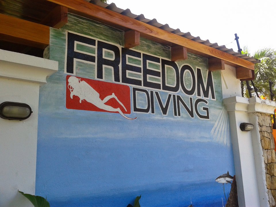 Our Dive Shop