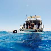Boat diving, Sharm el sheikh, Red Sea!!