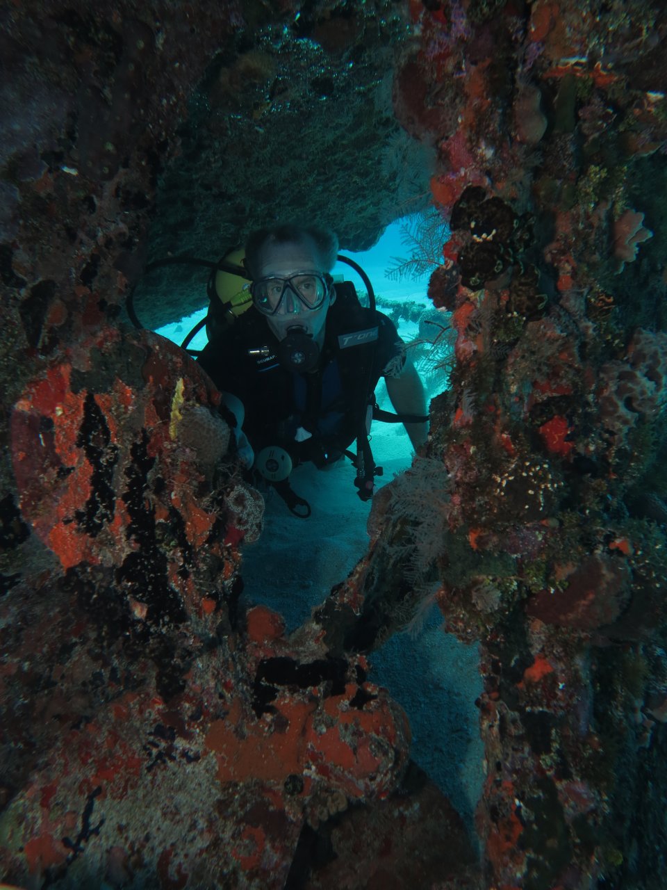 Caribe Wreck (10 meters Deep)
