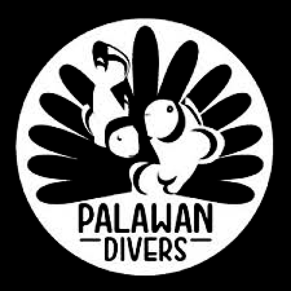 Palawan Divers - Our Logo