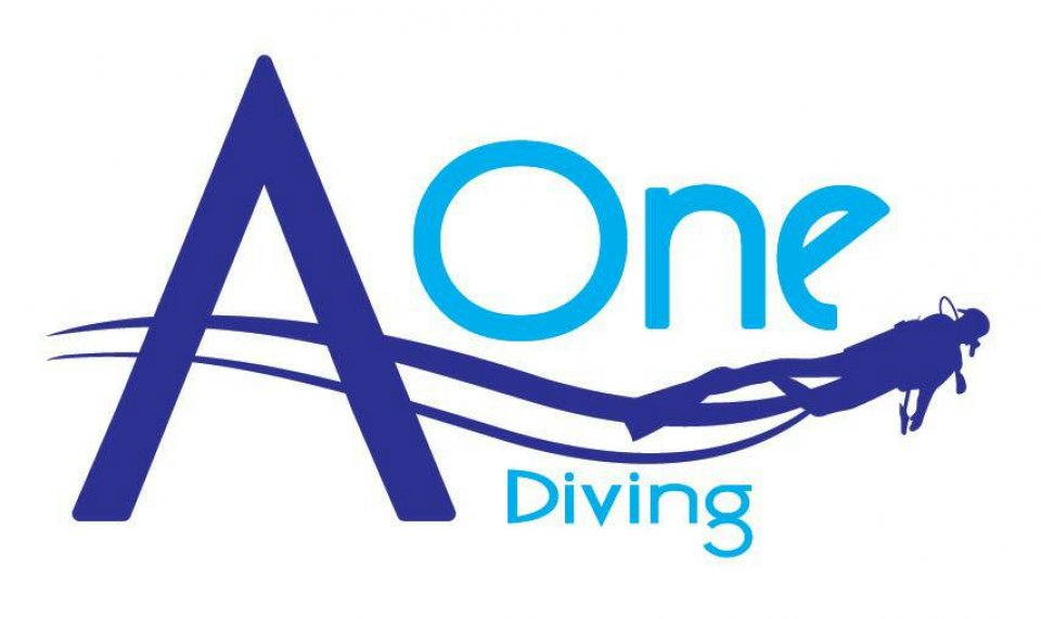 A 0ne Logo