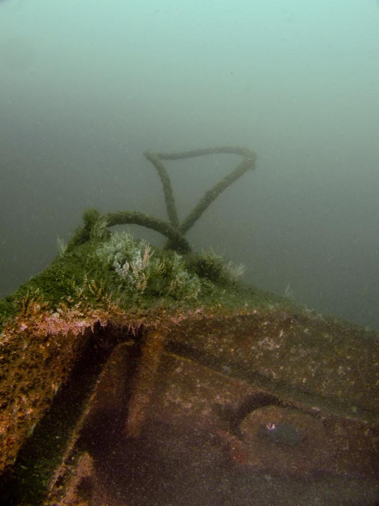 Franklin Chang Wreck
