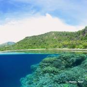 Sand Channels Dive Site Gorontalo