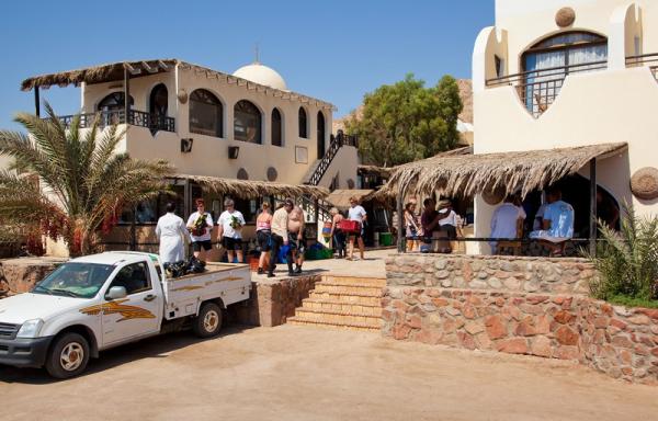 10 guided shore dives