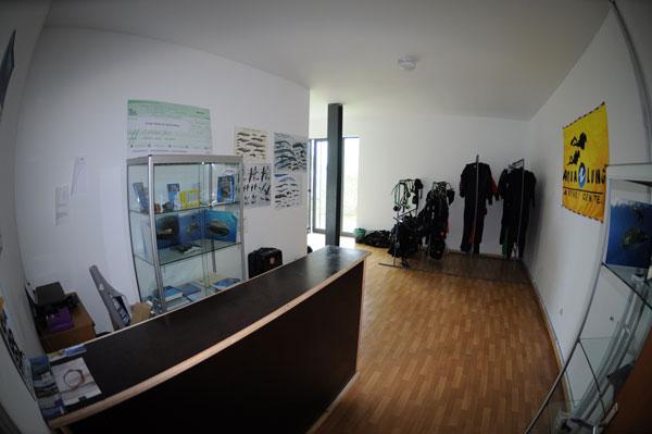 DIVE TRIP TO THE BLUE SHARK