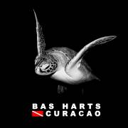 Bas Harts Diving