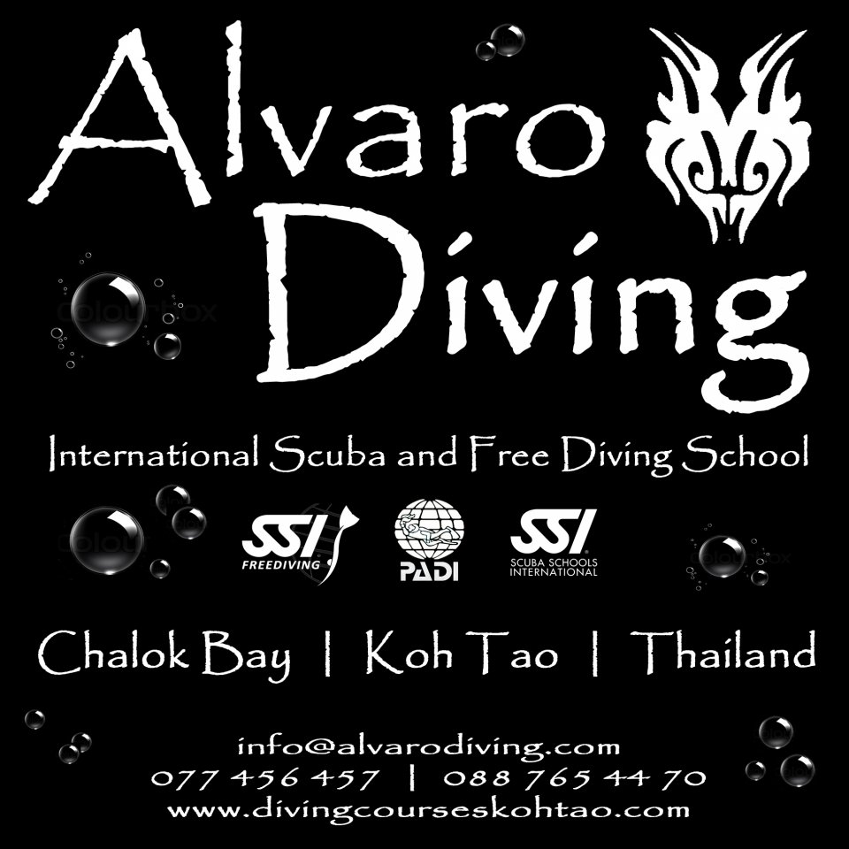 Alvaro Diving