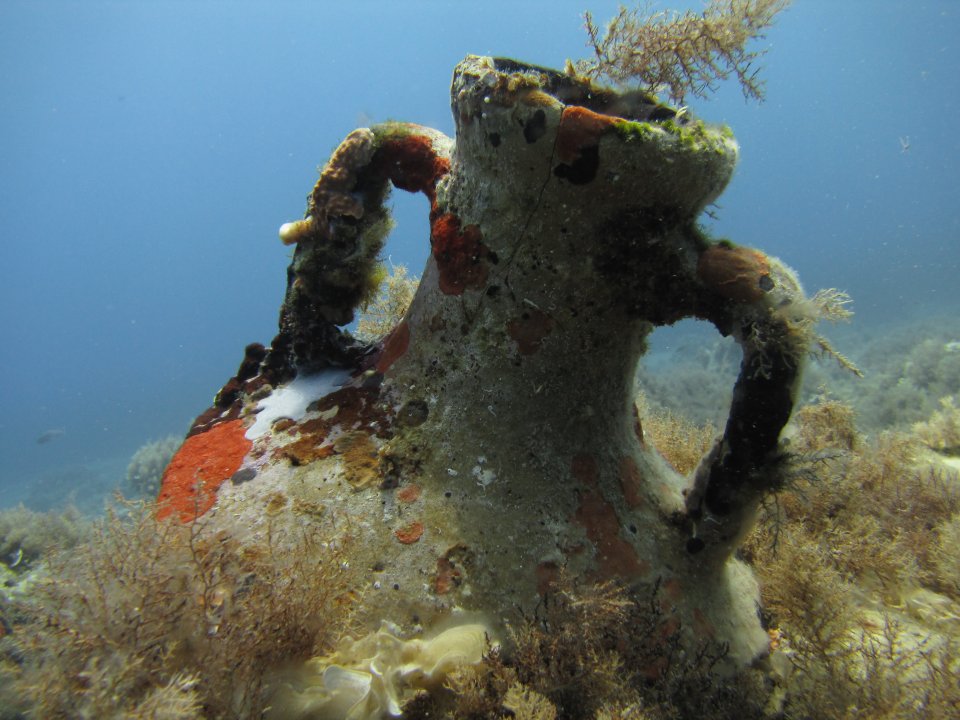 Calypso Reef