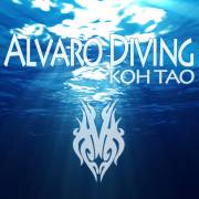 Alvaro Diving Koh Tao