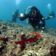 Diving Montenegro