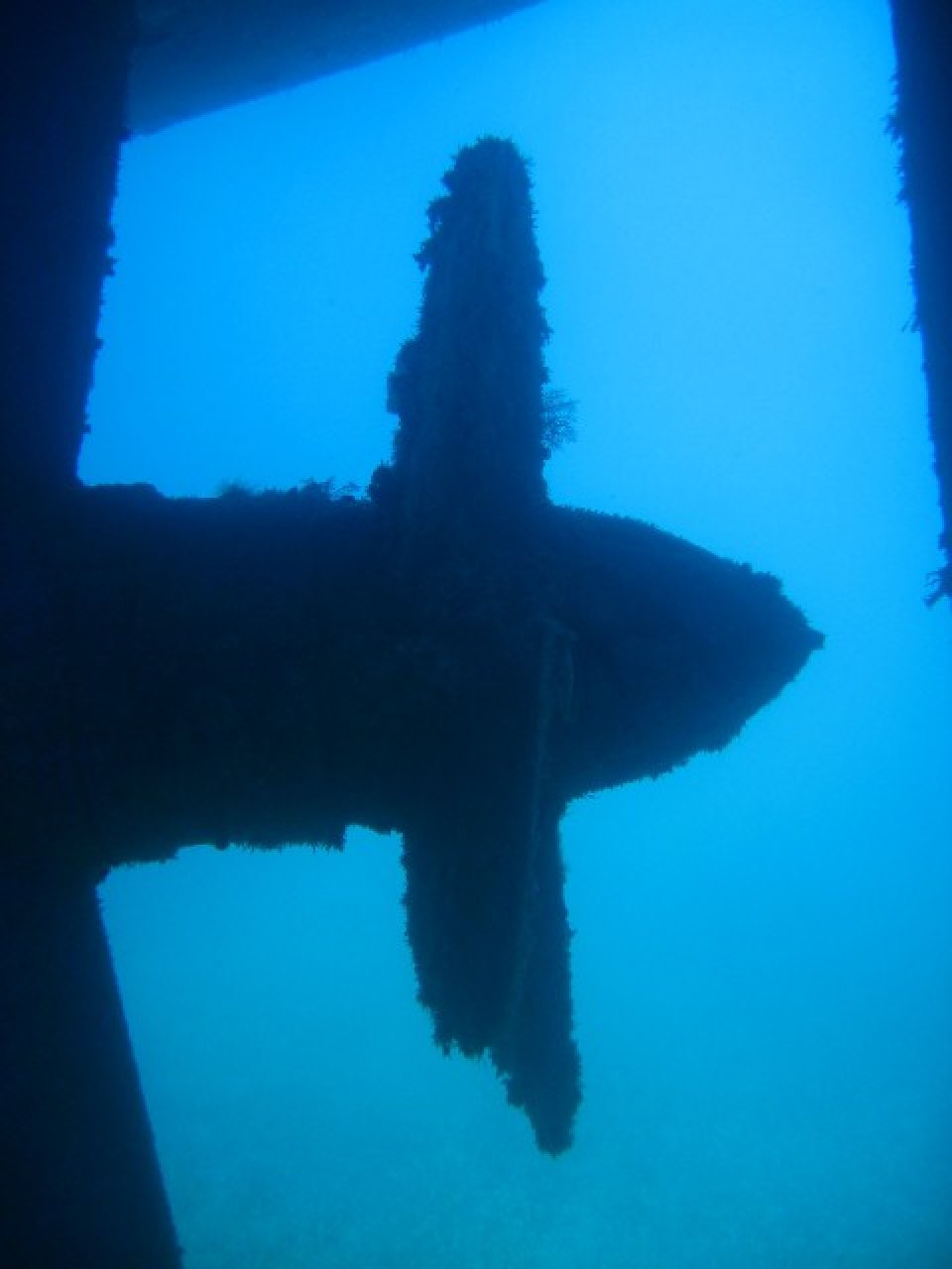 One of the Limassol Wrecks