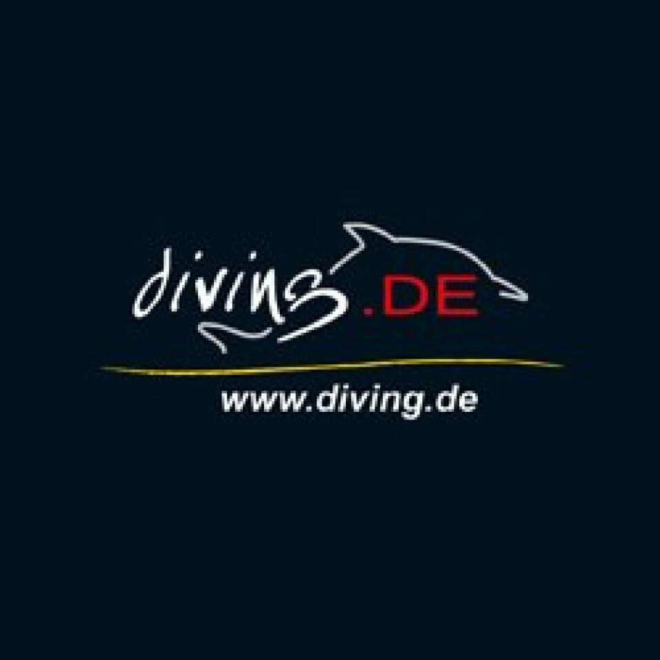 Logo  diving CANDIDASA diving.DE tauchen tauchschule bali candidasa indonesien 