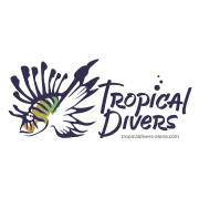 Tropical divers