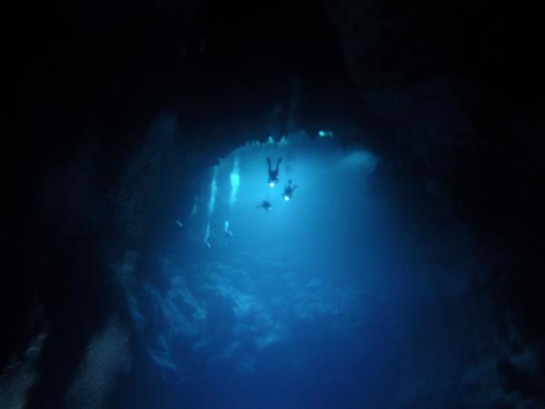 Scuba diving - cave tour - Koox Diving, Playa del Carmen, Mexico