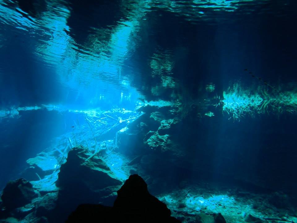 Cenote (Cavern) Diving
