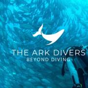 The Ark Divers