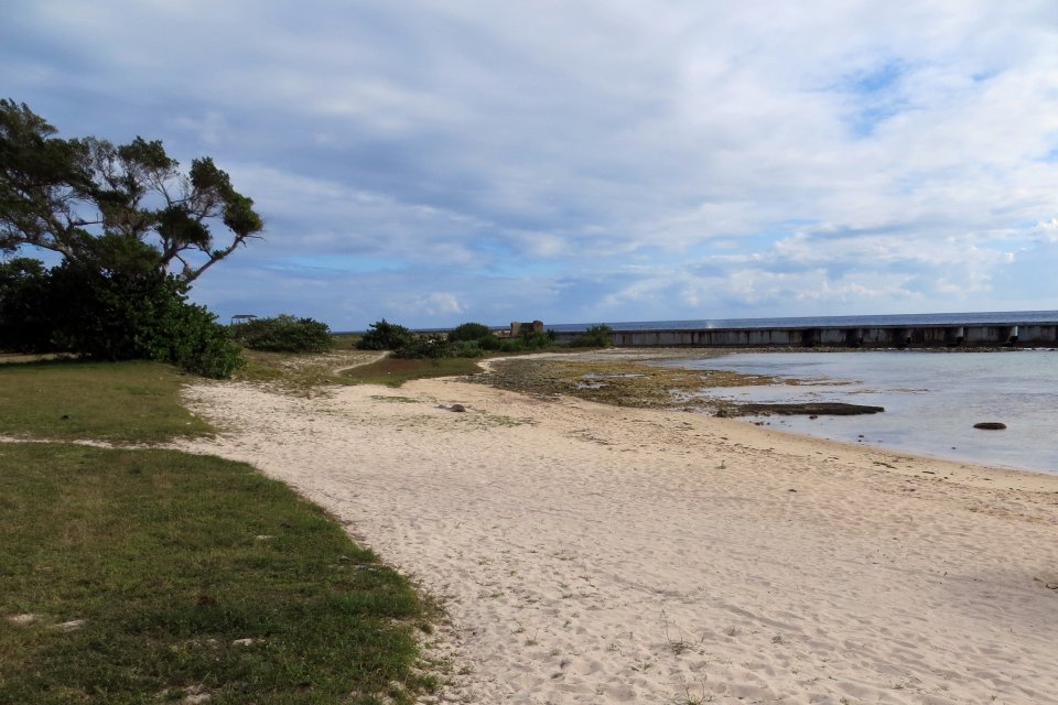 Playa Giron Landing Site